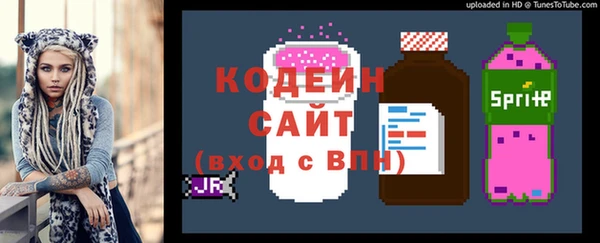 индика Покровск