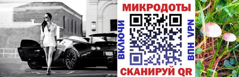 дарк нет формула  Новосокольники  Псилоцибиновые грибы мицелий 